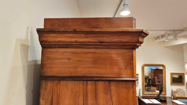 Late 19th Century Louis Philippe Cherry Bibliotheque Bookcase - Image 13