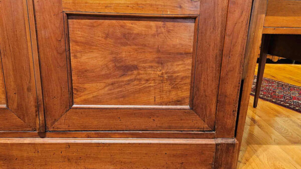 French 19th Century Louis Philippe Bibliotheque (bookcase) - Image 9