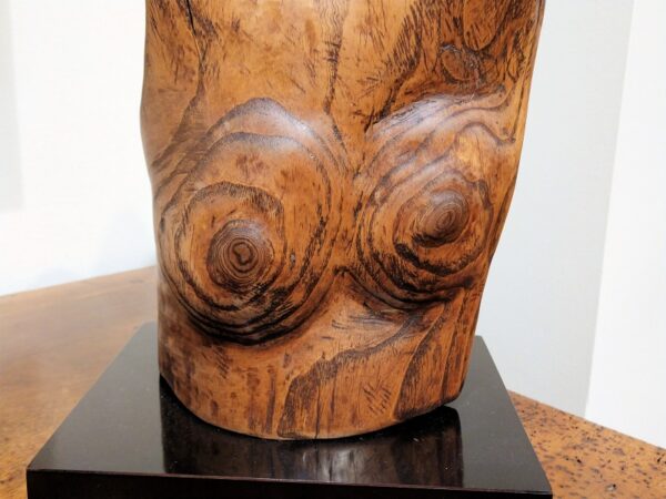 "Wooden Torso" Sculpture carved of wood tree branch by Madeleine Heumann (1933-2018) - Image 8