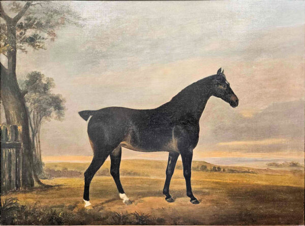 William Barraud (1810 - 1850) Attributed A Dark Bay Hunter in Landscape Portrait
