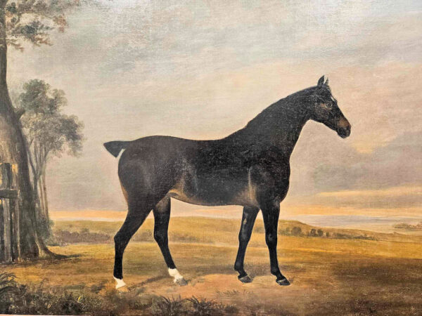 William Barraud (1810 - 1850) Attributed A Dark Bay Hunter in Landscape Portrait - Image 4
