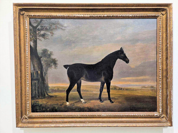 William Barraud (1810 - 1850) Attributed A Dark Bay Hunter in Landscape Portrait - Image 2