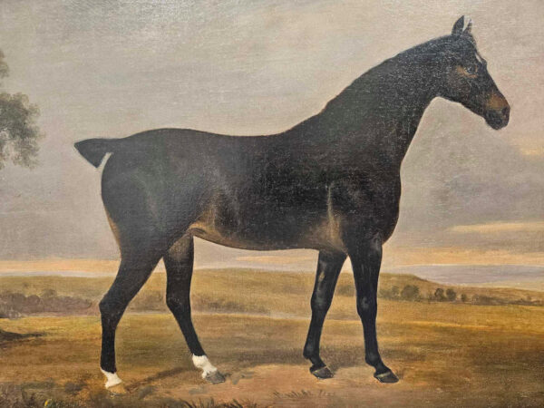 William Barraud (1810 - 1850) Attributed A Dark Bay Hunter in Landscape Portrait - Image 5