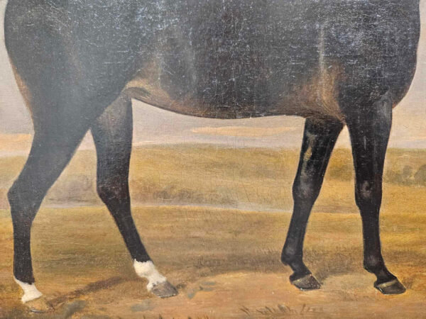William Barraud (1810 - 1850) Attributed A Dark Bay Hunter in Landscape Portrait - Image 9